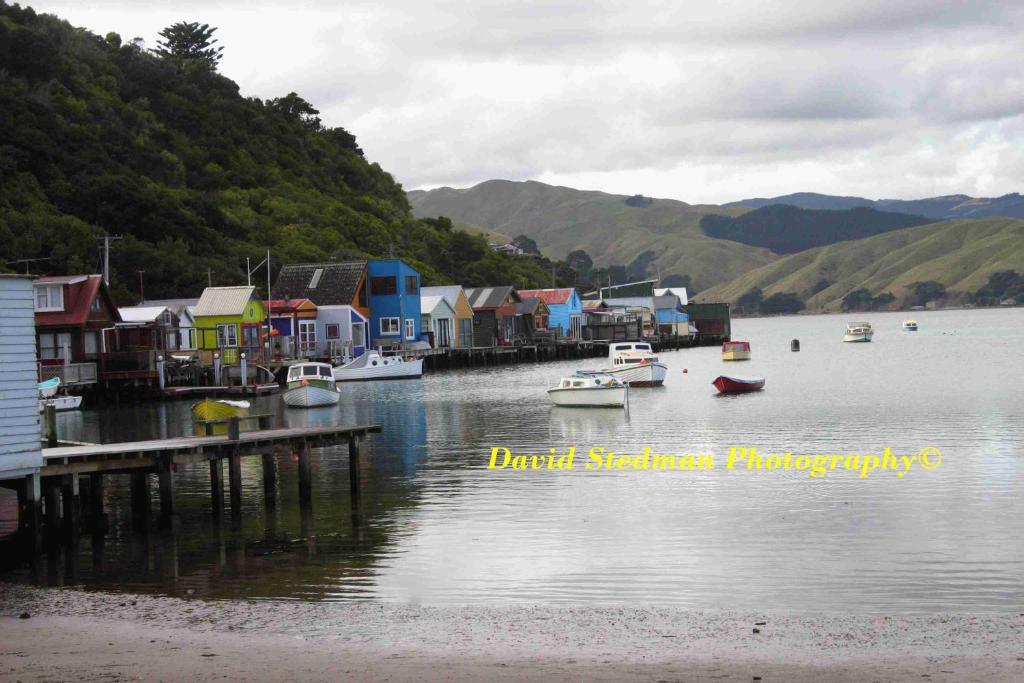 Aaa Mana Motel Porirua Exteriör bild
